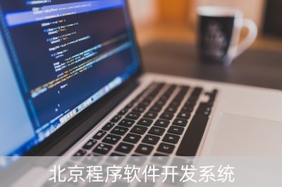北京程序軟件開發(fā)系統(tǒng) 從開發(fā)到維護(hù)的職業(yè)前景與薪資探析
